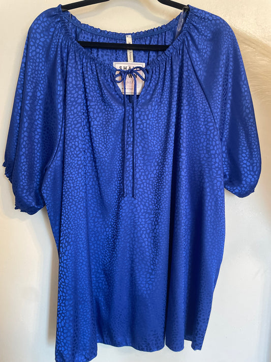 SALE | Silk Blue Top | 3XL