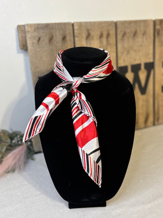 The Texas Tech Small Wild Rag