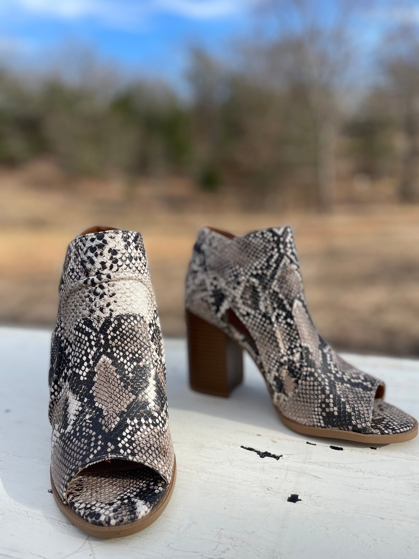 Snake print Booties